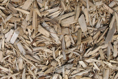biomass boilers Ragdale